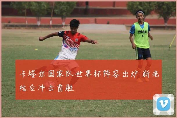 卡塔尔国家队世界杯阵容出炉 新老结合冲击首胜