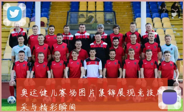 奥运健儿赛场图片集锦展现竞技风采与精彩瞬间