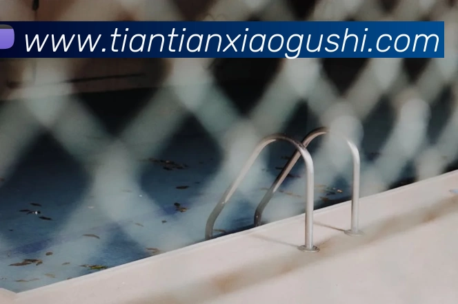 多媒体互动体验